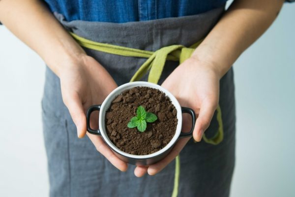 紙コップで地球環境保全に協力し、防災グッズで大活躍！｜もっと紙コップを使おう！